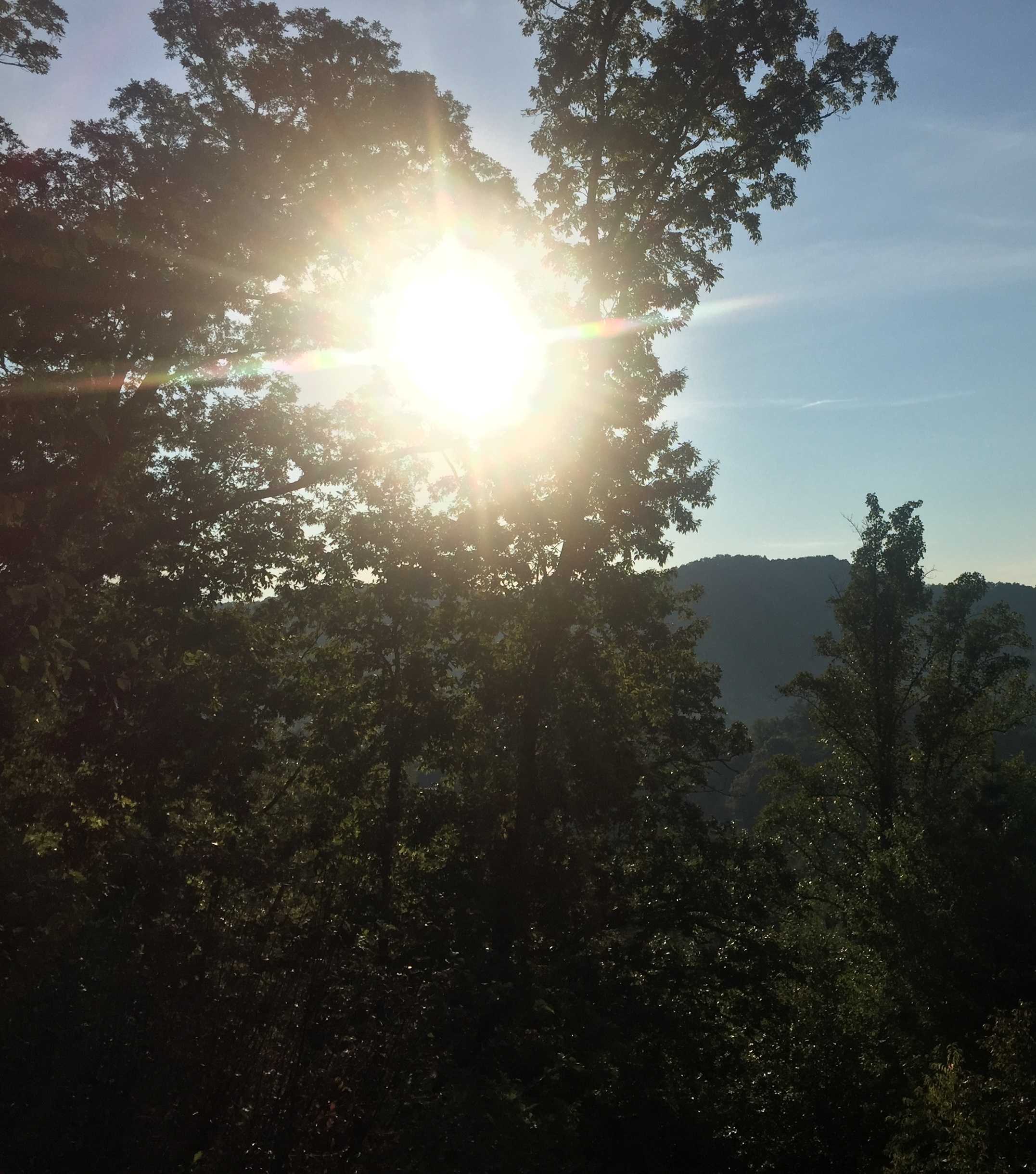 North Carolina sun through the trees 2016-09