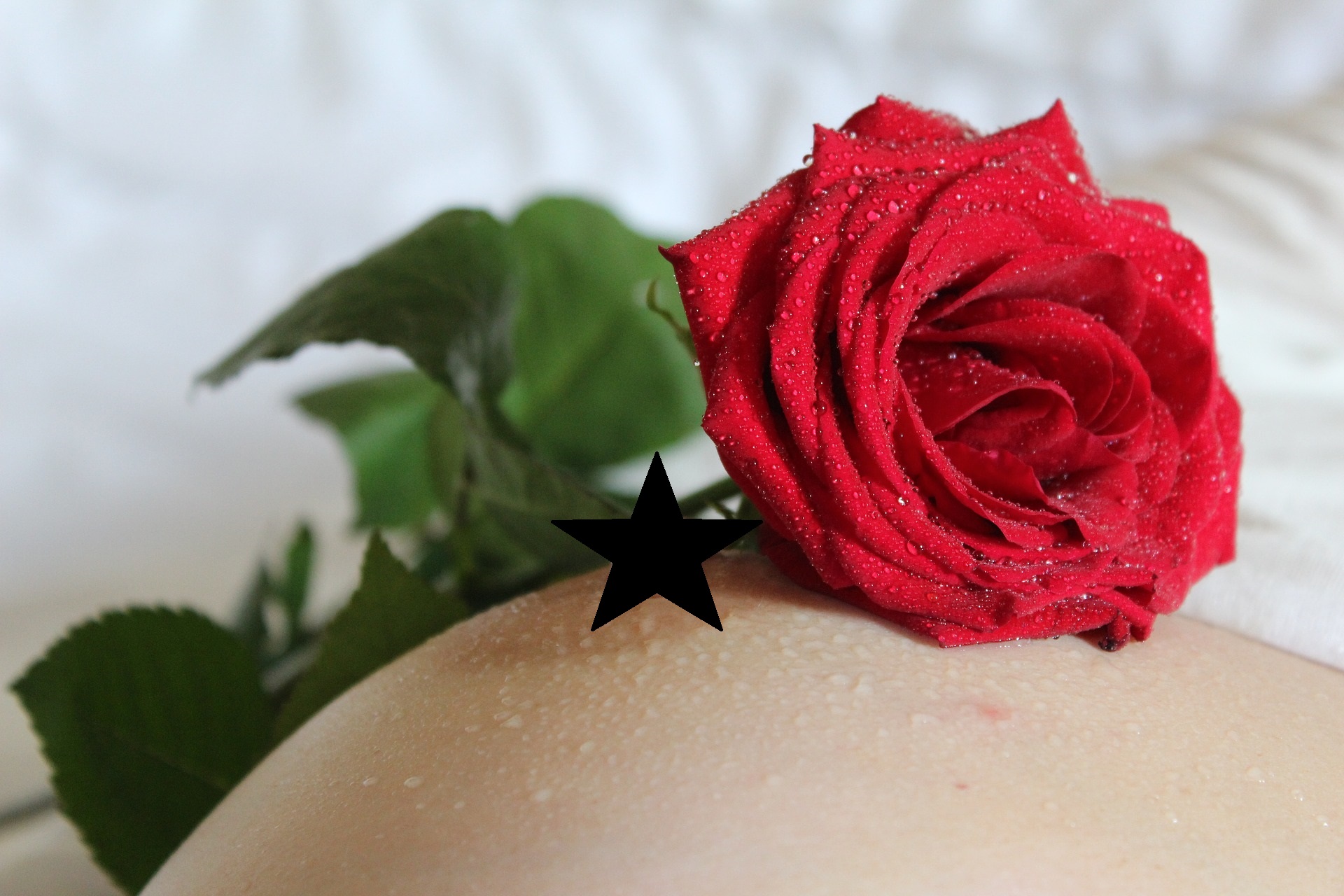 breast with censored nipple and red rose. 
