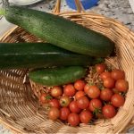 zucchini and tomatoes from Wendy Sheridan's garden