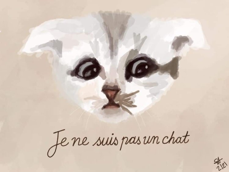 Je ne suis pas un chat