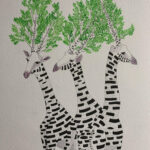 beech tree giraffes